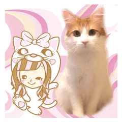 [LINEスタンプ] かわいいパトのスタンプ