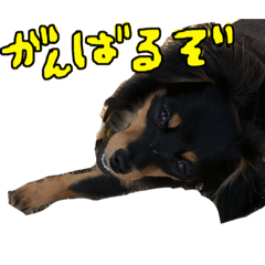 [LINEスタンプ] しのしのです。2