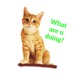 [LINEスタンプ] 子猫のベンジー