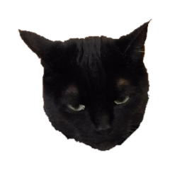 [LINEスタンプ] 黒猫ぜろたん