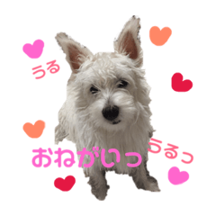 [LINEスタンプ] うちのマリン