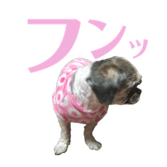 [LINEスタンプ] 蒼生の日記vol.8