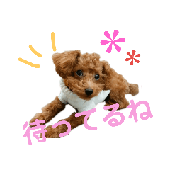 [LINEスタンプ] ぷりんちゃん＊