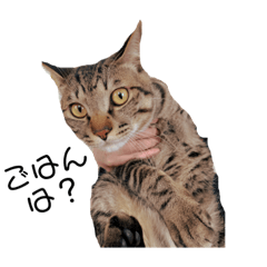[LINEスタンプ] りずさすましゆ 