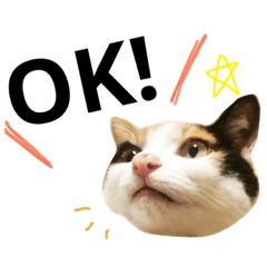 [LINEスタンプ] あんずとぽんずとだいず(日常編) 