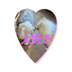 [LINEスタンプ] 仲良しワンコ(#^.^#) 