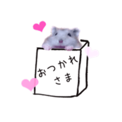 [LINEスタンプ] 癒しのハム。 