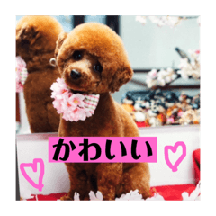 [LINEスタンプ] ひばりたんスタンプ II 