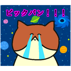 [LINEスタンプ] ねこねこフィーバー！！ 