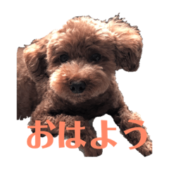 [LINEスタンプ] 可愛いマロチロ 第2弾