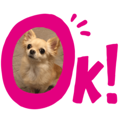 [LINEスタンプ] さくらちゃんの家事日記