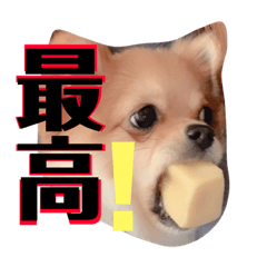 [LINEスタンプ] ちゅららんぷ 
