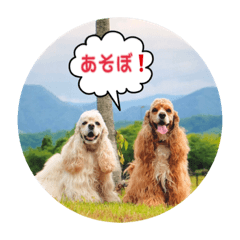 [LINEスタンプ] リロ＆ベル 3