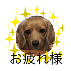 [LINEスタンプ] ユメコのホッコリメッセージ 