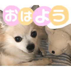 [LINEスタンプ] 耕太くんスタンプ 