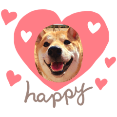 [LINEスタンプ] 柴犬ふくvol.①