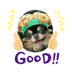 [LINEスタンプ] ちゃまろん  ╰( U ・ᴥ・)m