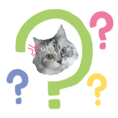 [LINEスタンプ] あんさんちのチビ1