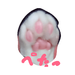 [LINEスタンプ] レムちゃん