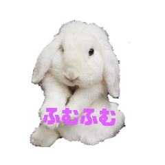 うちのペットども1 OUR PET 1