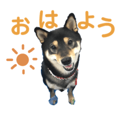 黒柴きびのスタンプ
