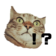 [LINEスタンプ] へんな猫のスタンプ