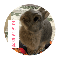 [LINEスタンプ] つみれスタンプ
