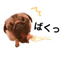 [LINEスタンプ] パグの福丸