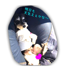 [LINEスタンプ] シスターズドッグ2