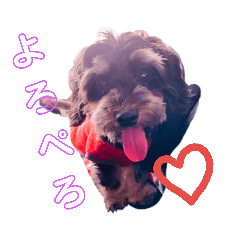[LINEスタンプ] 我らがレイチェル