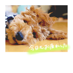[LINEスタンプ] ロワ助さんのスタンプ2