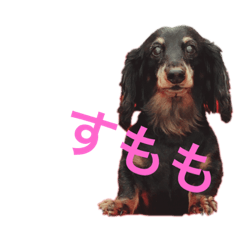[LINEスタンプ] ふじけんず！