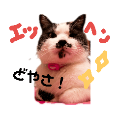[LINEスタンプ] 猫 心の声1