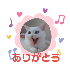 [LINEスタンプ] しろねこみーたん