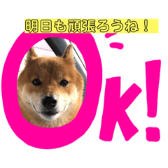 [LINEスタンプ] ほのぼの元気くん