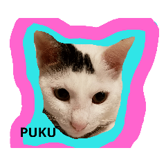 [LINEスタンプ] pukutechi stamps 