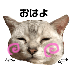 ぶちゃかわなけんぺ♡♡♡
