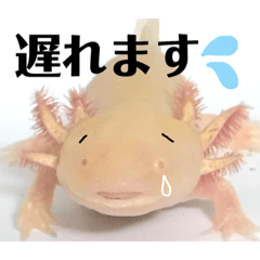 うーちゃんくろちゃんの可愛いスタンプ