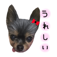 [LINEスタンプ] 私とみれちゃんスタンプ