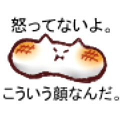 [LINEスタンプ] もちねこの日常スタンプ 