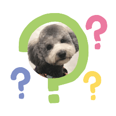 [LINEスタンプ] 犬のん
