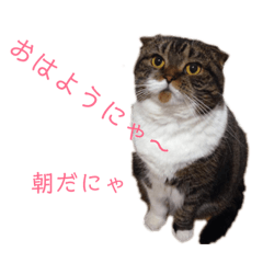 [LINEスタンプ] みるちょまスタンプ