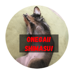 [LINEスタンプ] ろーずちゃんスタンプ2