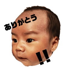 [LINEスタンプ] モズ5