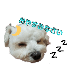 [LINEスタンプ] 美幸chan（日常編）