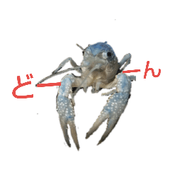 [LINEスタンプ] アオザリ