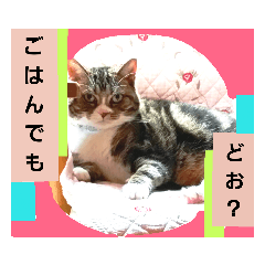 [LINEスタンプ] 桃日々の声掛け
