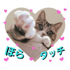 [LINEスタンプ] 桃日々の大切な言葉