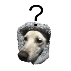 [LINEスタンプ] うちの犬 ！！！
