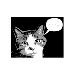 [LINEスタンプ] 保護猫ルドルフ 日本語日常会話編❶